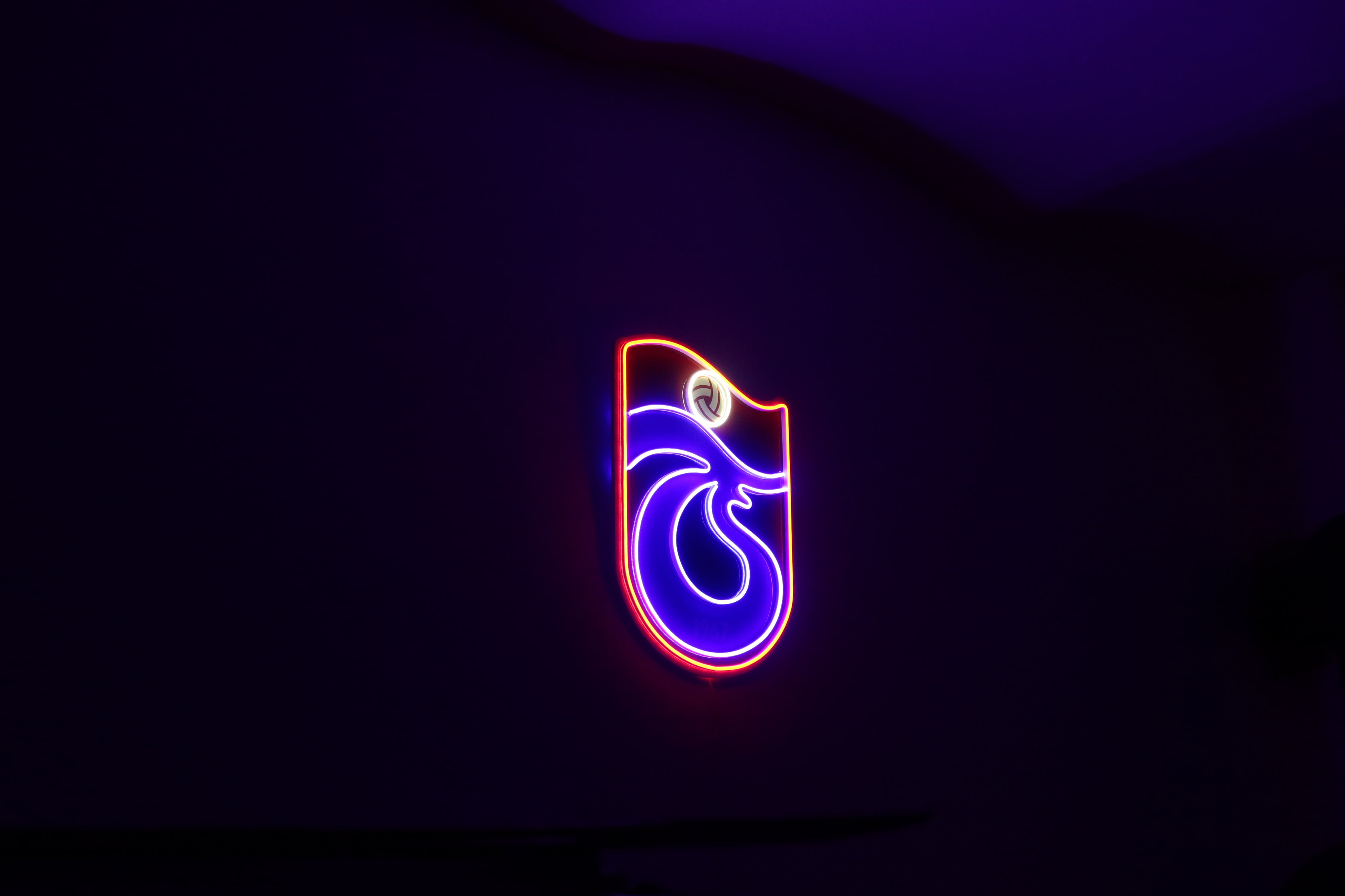 TRABZON LED-LOGO